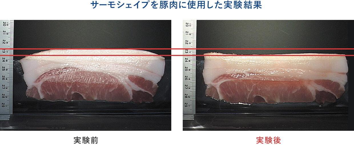 実験結果イメージ